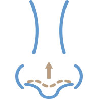 Facial Symmetry