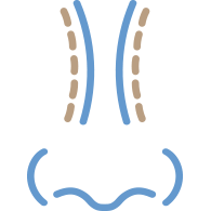 Nose Augmentation